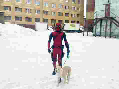 Выгуливающий собаку в костюме Дэдпула хозяин насмешил соцсети в Норильске. Фото: vk.com