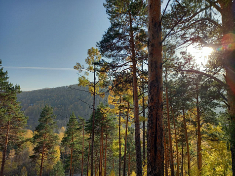 В Красноярске 10 октября потеплеет до +19