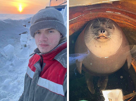 Метеоролог из Сочи рассказал о работе на мысе Челюскин и дружбе с нерпой. Фото, видео: телеграм-канал «Человек из Арктики»