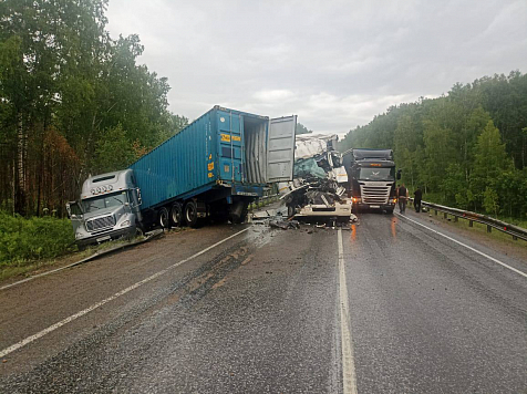 Водитель КамАЗа погиб в ДТП с грузовиком в Уярском районе. Фото: МВД