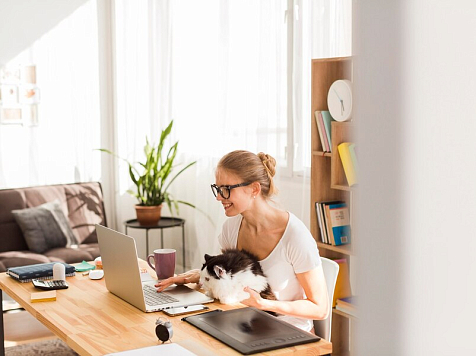 Количество вакансий на «удалёнке» за год выросло на 141% в Красноярском крае. Фото: ru.freepik.com