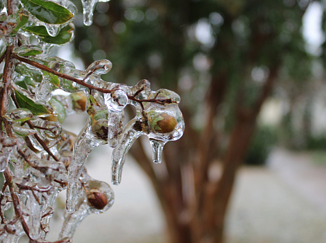 14 марта в Красноярске потеплеет до -1 градуса и пойдёт мокрый снег. Фото: unsplash.com
