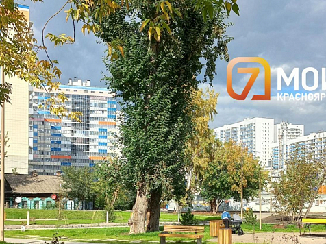 В Красноярске в 5 раз выросло число квартир, выставленных на срочную продажу					     title=