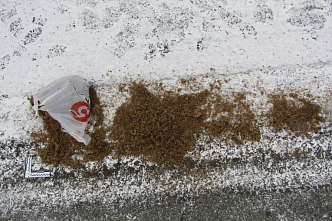  Водитель в Нижнем Ингаше, удирая от инспекторов ДПС, выбросил в окно огромный пакет марихуаны