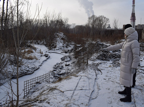 Река Паниковка затопила участки и дома в красноярском поселке Торгашино. Фото: администрация Свердловского района