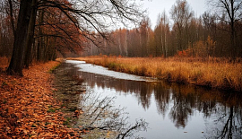 Новый ремейк бабьего лета ждет красноярцев на следующей ноябрьской неделе
