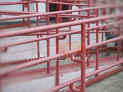 В Красноярке двое детей выкинули кошку с 13 этажа. фото/видео: https://vk.com/live_kras