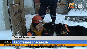 Корреспондент «7 канала Красноярск» спрятался в колодце от собаки