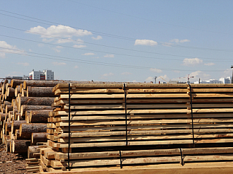 Китай перестал вкладываться в красноярскую древесину