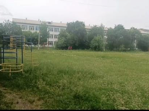 В Ачинске предложили назвать сквер в честь Жириновского . Фото: телеграм-канал Александра Глискова