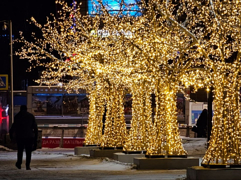 В Красноярске заработали светящиеся деревья. Фото: мэрия Красноярска