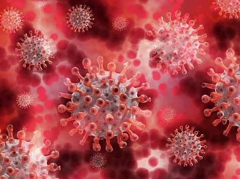 В Красноярском крае за последние сутки резко выросла смертность от коронавируса. Фото: Pixabay