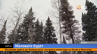 В преддверии Нового года в Красноярске усилили охрану хвойных деревьев
