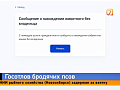 Красноярцы смогут оставлять заявки на отлов бродячих собак через «Госуслуги»