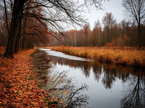 Новый ремейк бабьего лета ждет красноярцев на следующей ноябрьской неделе