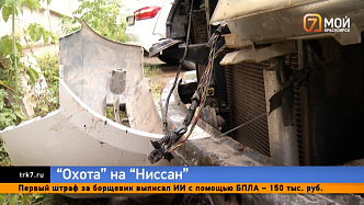 «С кого теперь спрашивать?» — в Красноярске стая бродячих собак изувечила автомобиль