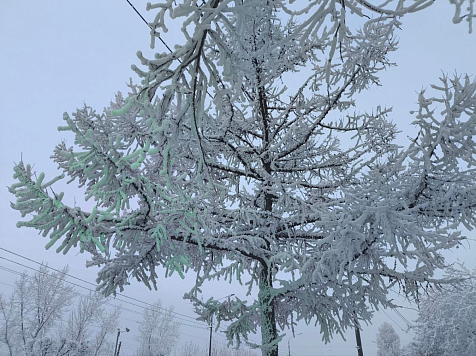 В Красноярске начался период резкого потепления. Фото: Богдан Панасюк