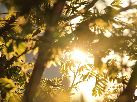 Красноярцы добрались до самых теплых выходных за весну. Фото: JN Photos