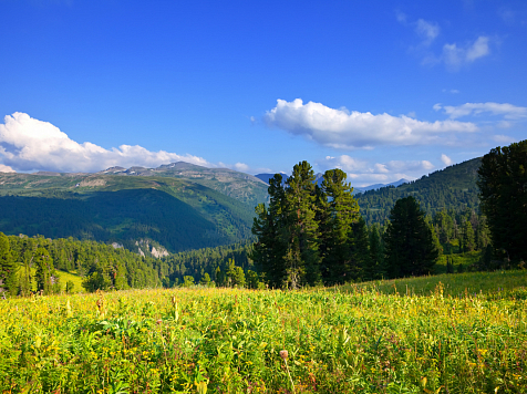 В Красноярске 20 июля в четверг днем ожидается +28°C. Фото: ru.freepik.com