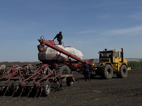 В Красноярском крае началась посевная кампания. Фото: минсельхоз Красноярского края