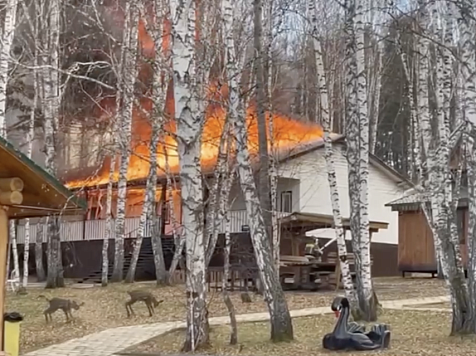 В Красноярске полыхнула популярная база отдыха в Емельяновском районе. Видео: прокуратура Красноярского края