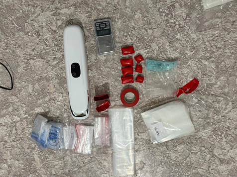 В Красноярске оптовая наркозакладчица попалась на случайно забытом в арендованной квартире свертке. Фото: ГУ МВД по краю