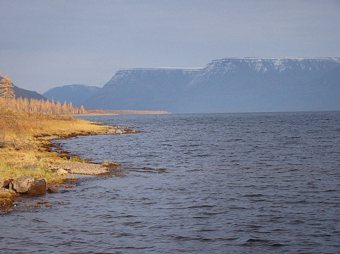 Северная рыба из Енисея признана самой полезной в мире. Фото:  Лариса Глущенко