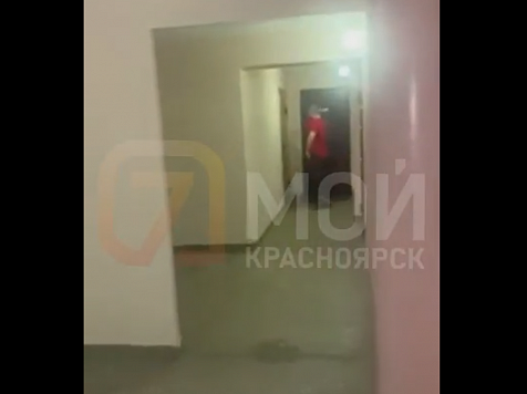 В Красноярке экс-полицейского арестовали за дебоши в подъезде. Фото: «7 канал Красноярск»