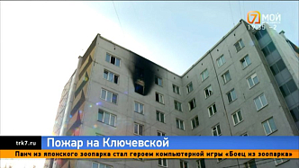 Две кошки погибли при пожаре в общежитии Свердловского района