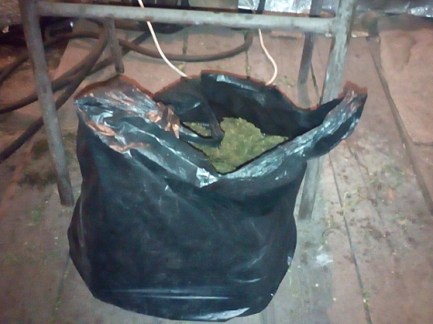 Житель Красноярского края хранил у себя во дворе 5 килограммов марихуаны. Фото: МВД