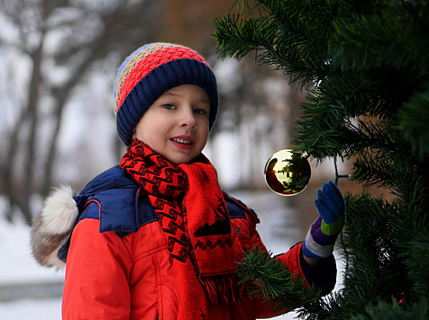 Куда пойти с детьми на новогодних каникулах в Красноярске. Фото: pixabay