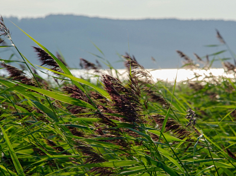 Сильный ветер надвигается на Красноярск. Фото: JN PHOTOS/ Иван Нечаев