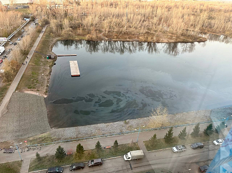  На Абаканской протоке Енисея красноярцы заметили огромное маслянистое пятно. Фото: ТГ Зайцев