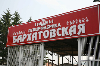 Градообразующую птицефабрику «Бархатовская» в Красноярском крае выставили на торги за 700 млн рублей