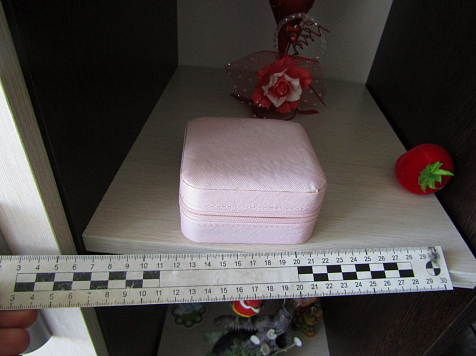 Жительница Зеленогорска обнесла квартиру своей коллеги на 100 тысяч рублей. Фото: МВД Красноярского края