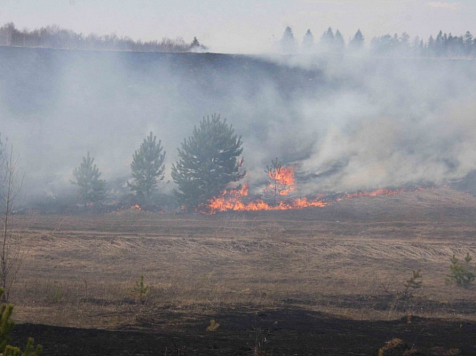 Лесные пожары вызывают сезонный рост токсичного озона над Сибирью. Фото: МЧС&nbsp;РФ