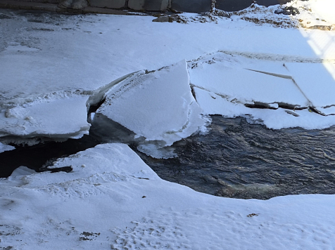 Весна вернется в Красноярск после резкого похолодания. Фото: Богдан Панасюк