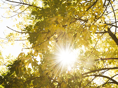 В Красноярске 11 октября днём ожидается жара до +20°C. Фото: ru.freepik.com