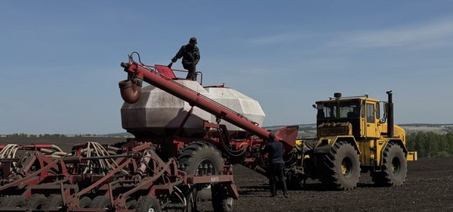 В Красноярском крае началась посевная кампания