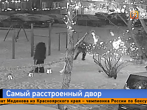 Гном без головы, гирлянды сорваны: вандалы разгромили украшенный к Новому году двор в Красноярске