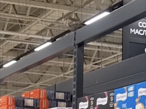 В гипермаркете «Oкей» покупатели заметили воробья на полке: магазину объявили предостережение. Фото: Роспотребнадзор Красноярского края