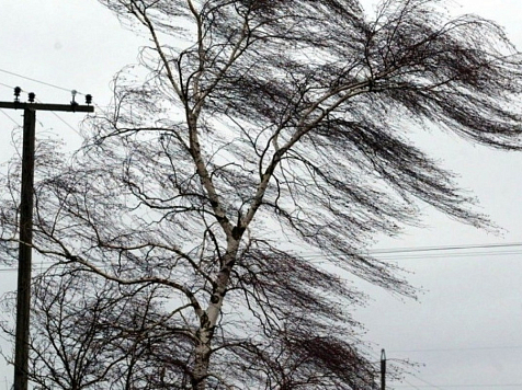 В Красноярском крае снова обещают сильный ветер с порывами до 12 метров в секунду. Фото:&nbsp;<a href="https://76.mchs.gov.ru/deyatelnost/press-centr/novosti/4682246" target="_blank">76.mchs.gov.ru</a>