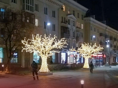 В центре Красноярска сделали аллею из световых деревьев. Фото: администрация Красноярска