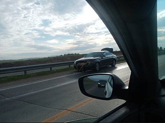 Водитель на «Мерседесе» сбил косулю у Дрокино