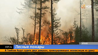 Инспекторы лесной охраны нашли подозреваемого, из-за которого возник лесной пожар в Уярском районе