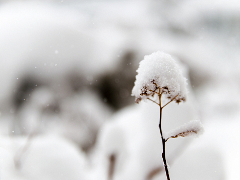 На выходных в Красноярск придет потепление до -4 градусов . Фото: unsplash.com
