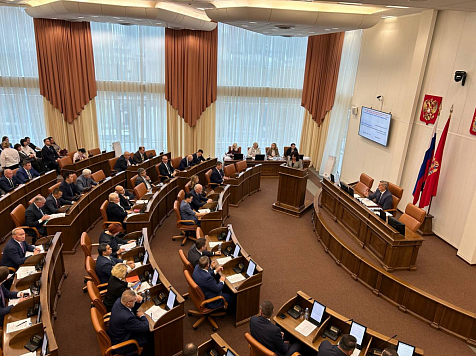 Депутаты краевого Заксобрания приняли Муниципальную реформу. Фото: Ксения Гречихина (архив)