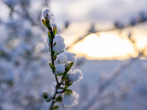 В Красноярске на рабочей неделе потеплеет только до +4°C и будет снежно. Фото: ru.freepik.com