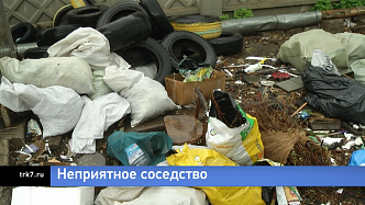Жители улицы Лесной в Красноярске жалуются на нашествие крыс из-за свалки