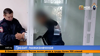 Подозреваемого в поджоге дома в Арейском отправили в СИЗО на два месяца